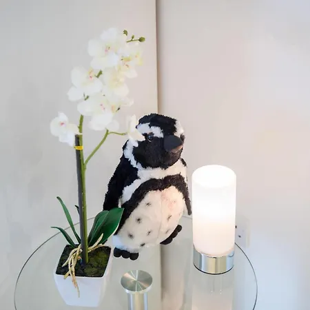 Appartement Chic Centre Moments From Wills Memorial *